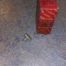111704 Generator Gear Bolt
