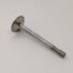 70-6423 Early T-150 Exhaust Valve