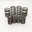 067070 Valve Spring Set, Norton