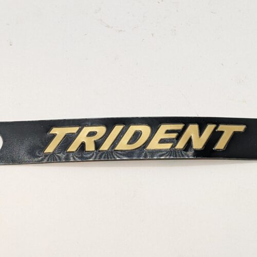 60-4569 Trident Side Panel Sticker, Gold/Black