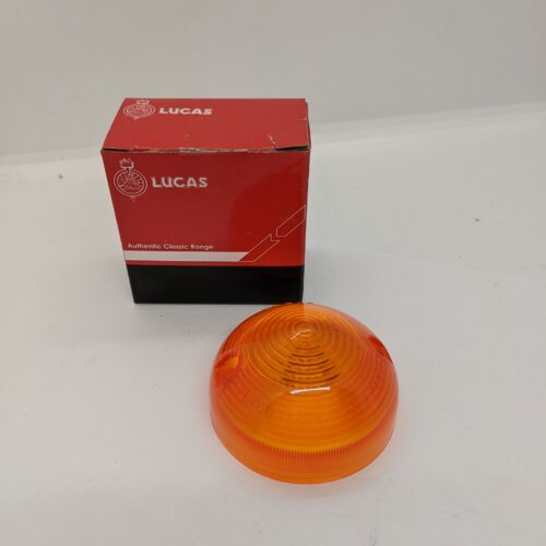 60600621L Turn Signal Lens Replacement