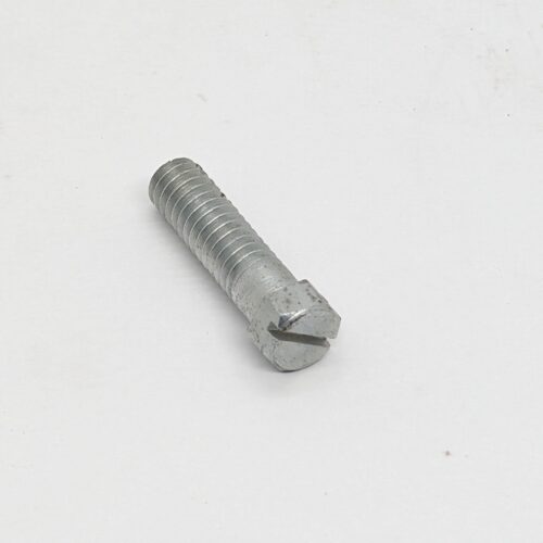 112450 Generator Strap Screw