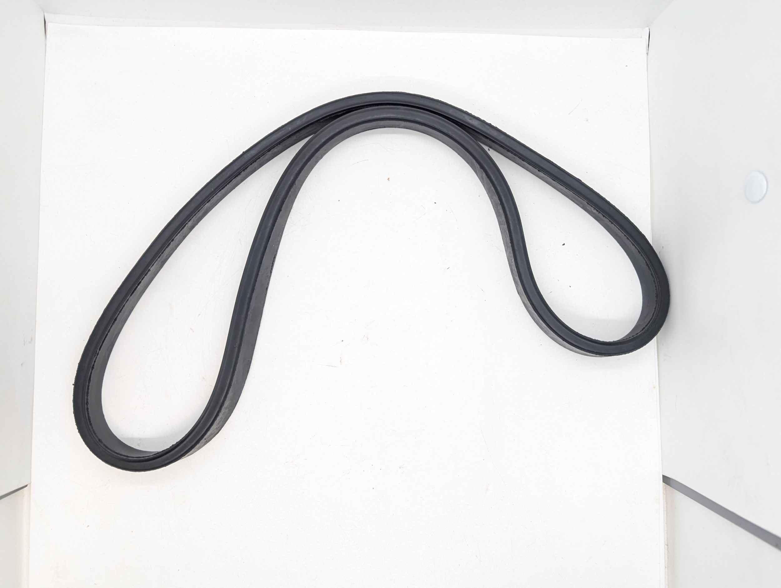 067627 Primary Seal, Atlas