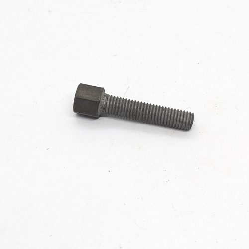 021595 Rear Chain Adjuster Bolt