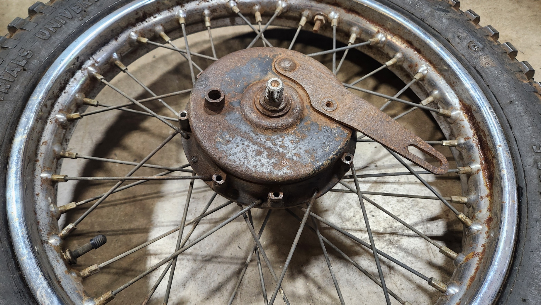 37-1446 Used 18" Complete Triumph Mountain Cub Rear Wheel #2 -1