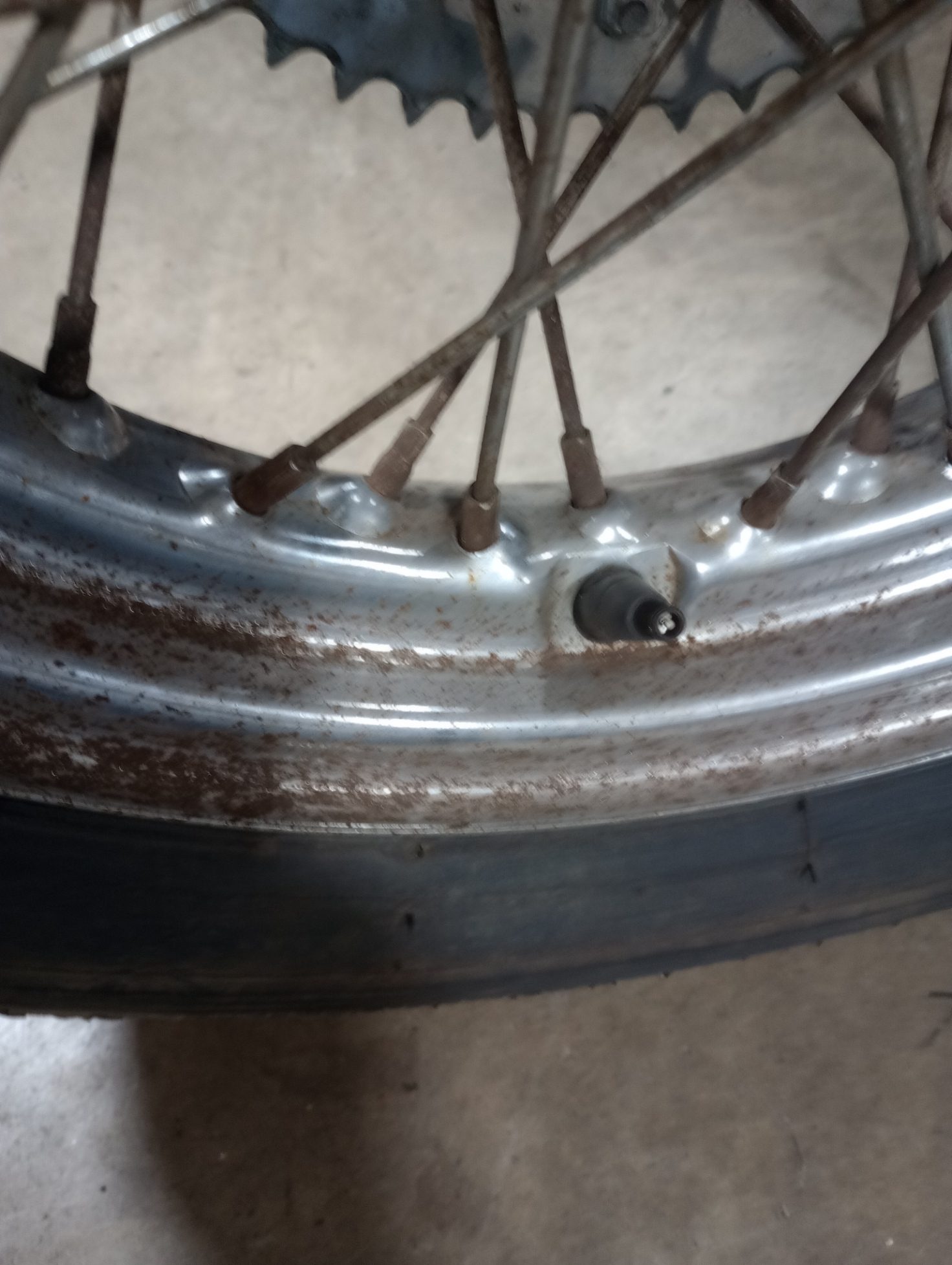 37-3604 Triumph/BSA Rear Wheel complete - USED, with 500x16 tire