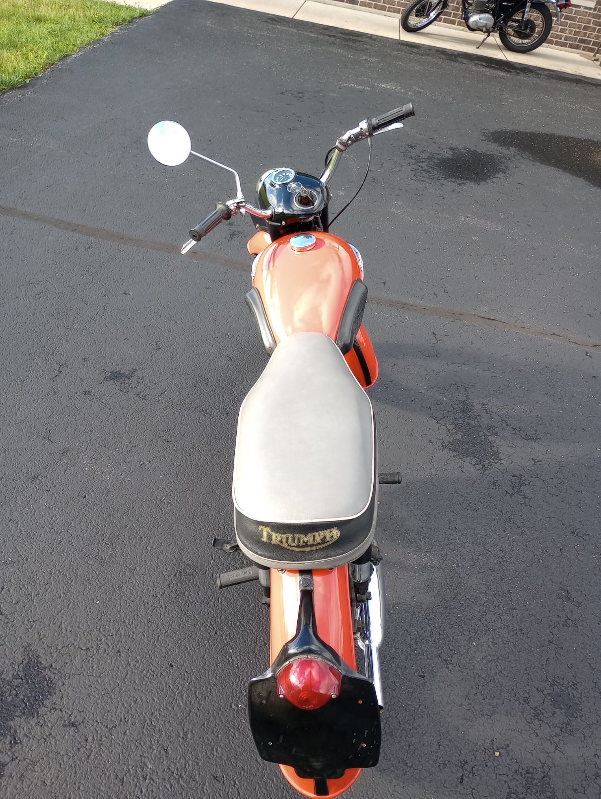 Triumph Tiger Cub