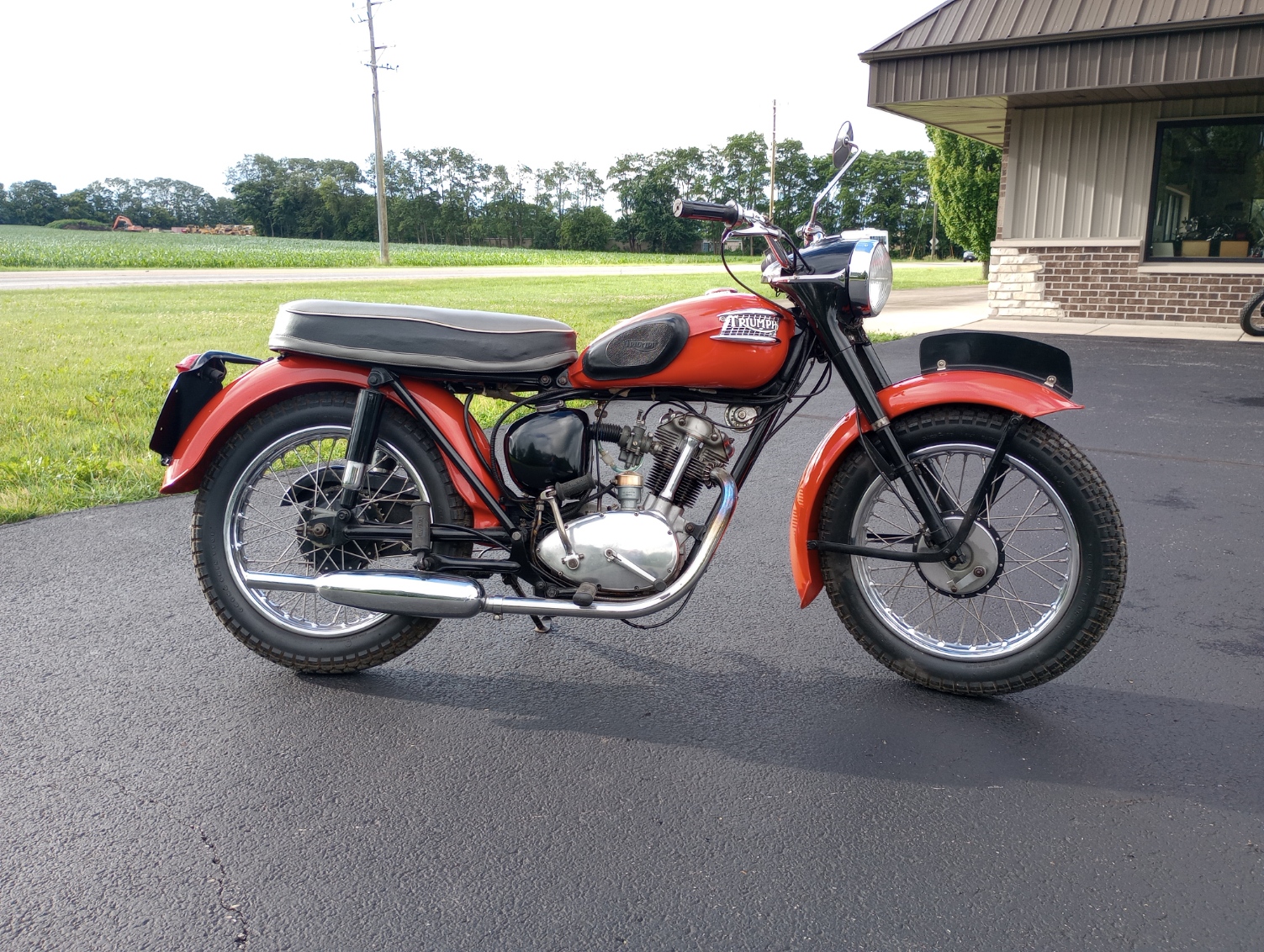 Triumph Tiger Cub